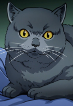 Tama